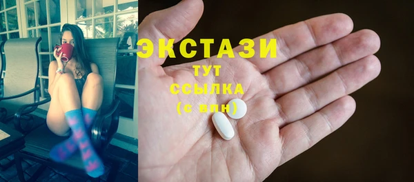 индика Кинешма