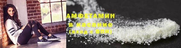 индика Кинешма