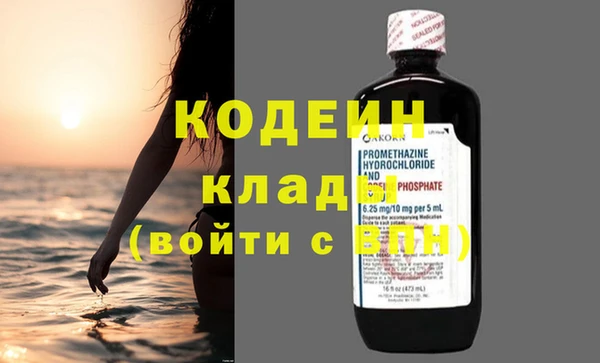 индика Кинешма