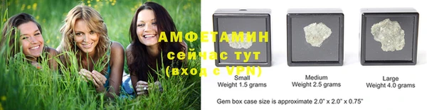 индика Кинешма