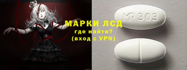индика Кинешма