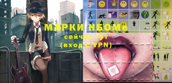 индика Кинешма