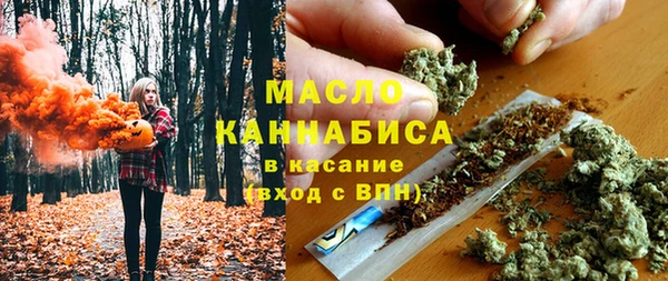 индика Кинешма