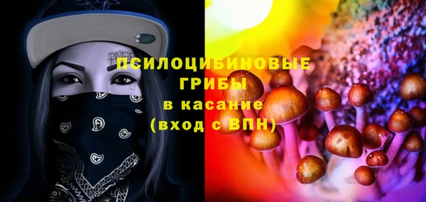 ГАЛЛЮЦИНОГЕННЫЕ ГРИБЫ Киренск