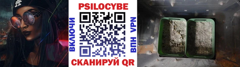 Псилоцибиновые грибы Magic Shrooms Перевоз